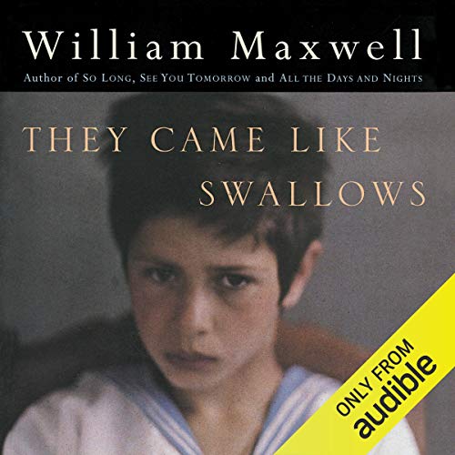 Cover of They Came Like Swallows