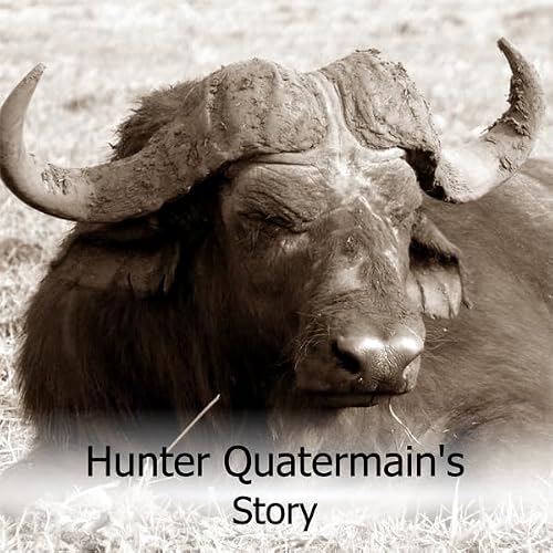 Cover of Hunter Quatermain's Story
