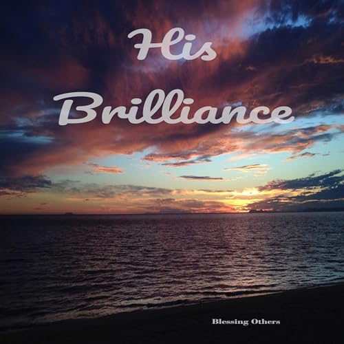 Cover of His Brilliance