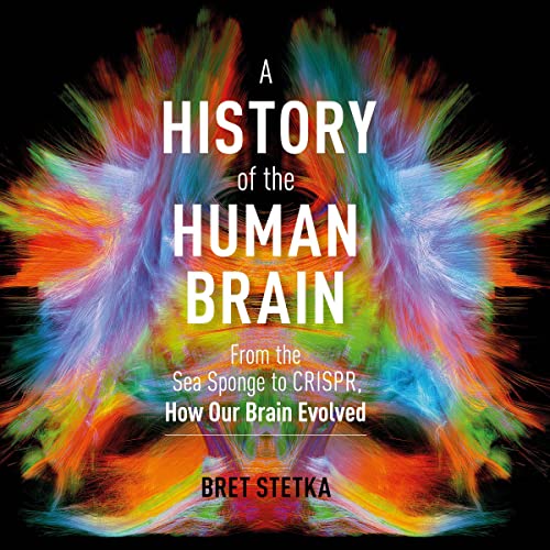 Cover of A History of the Human Brain