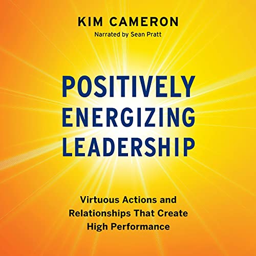 Cover of Positively Energizing Leadership