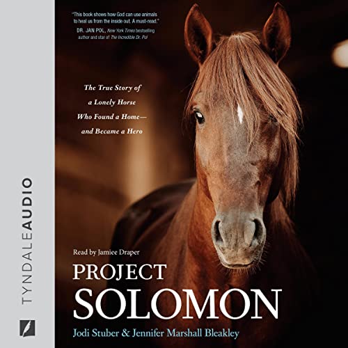 Cover of Project Solomon