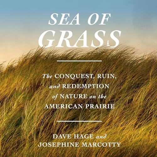 Cover of Sea of Grass