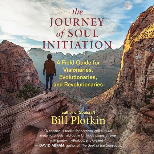 Cover of The Journey of Soul Initiation
