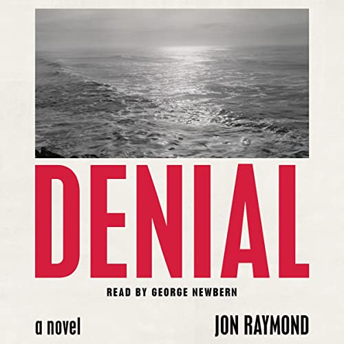 Cover of Denial