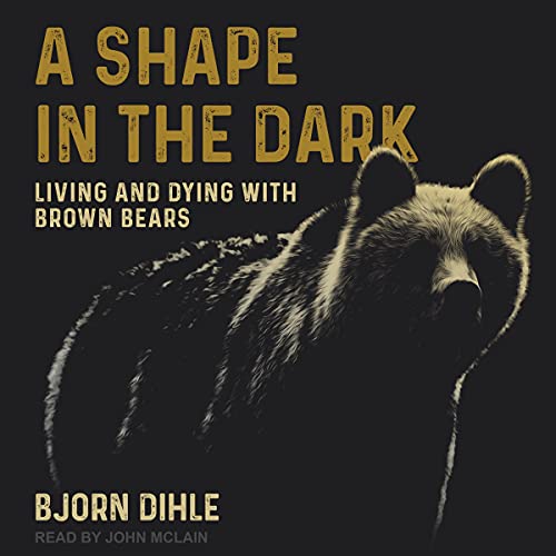 Cover of A Shape in the Dark