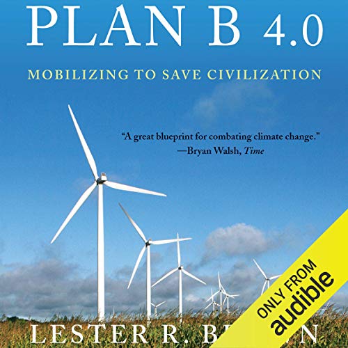 Cover of Plan B 4.0