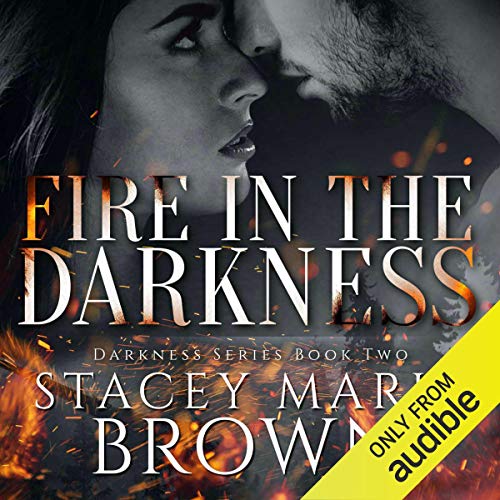 Cover of Fire in the Darkness