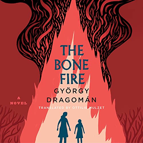 Cover of The Bone Fire