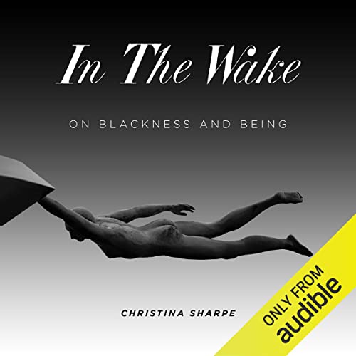 Cover of In the Wake