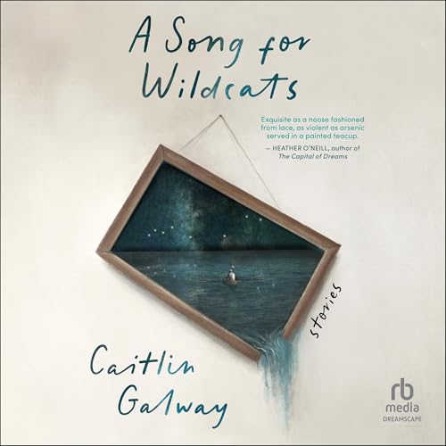 Cover of A Song for Wildcats