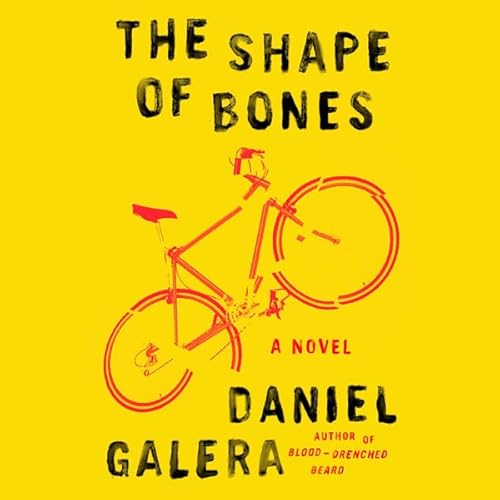 Cover of The Shape of Bones