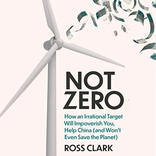Cover of Not Zero