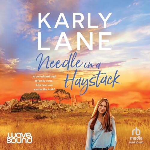 Cover of Needle in a Haystack