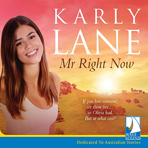 Cover of Mr Right Now