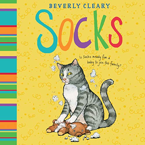 Cover of Socks