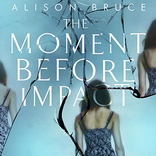 Cover of The Moment Before Impact
