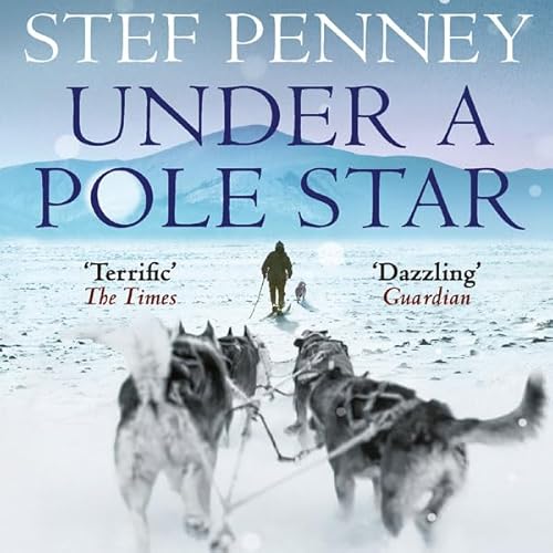 Cover of Under a Pole Star