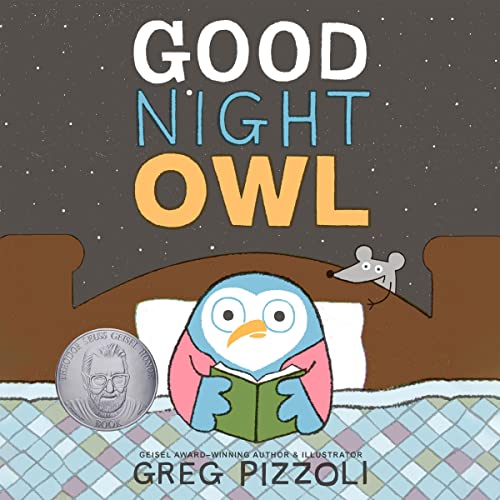 Cover of Good Night Owl