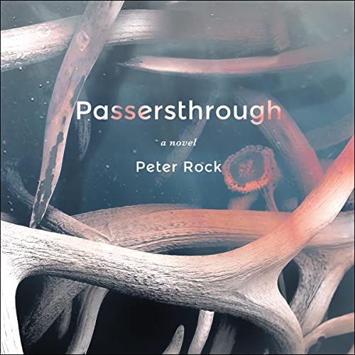 Cover of Passersthrough