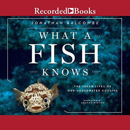 Cover of What a Fish Knows
