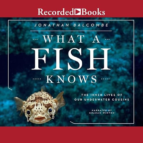 Cover of What a Fish Knows