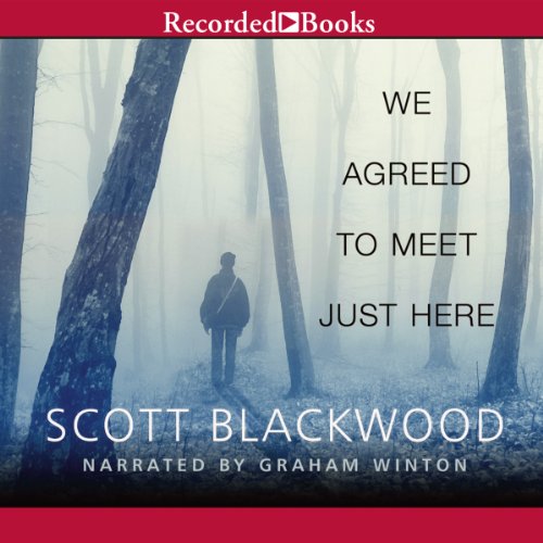 Cover of We Agreed to Meet Just Here