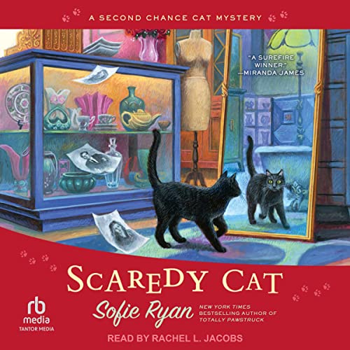 Cover of Scaredy Cat
