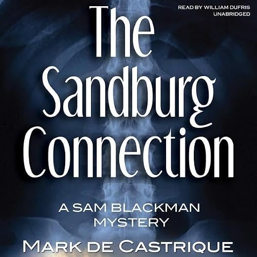 Cover of The Sandburg Connection