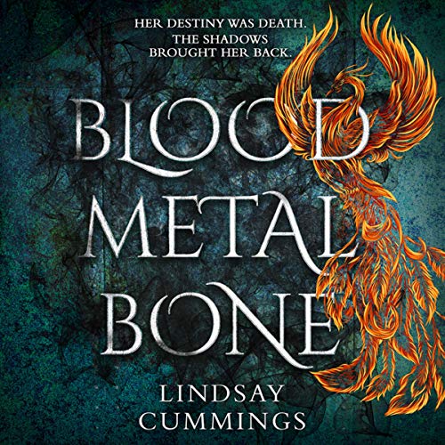 Cover of Blood Metal Bone