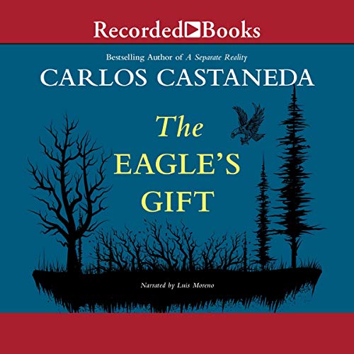 Cover of The Eagle's Gift