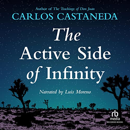 Cover of The Active Side of Infinity