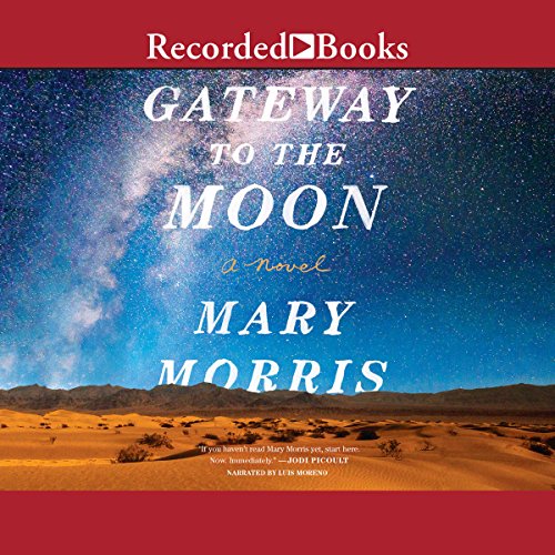 Cover of Gateway to the Moon