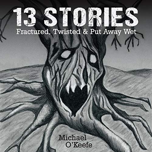 Cover of 13 Stories