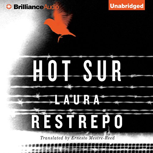 Cover of Hot Sur
