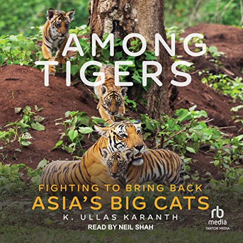 Cover of Among Tigers