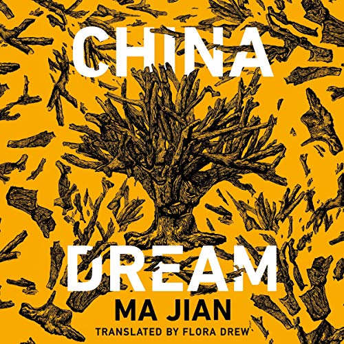 Cover of China Dream