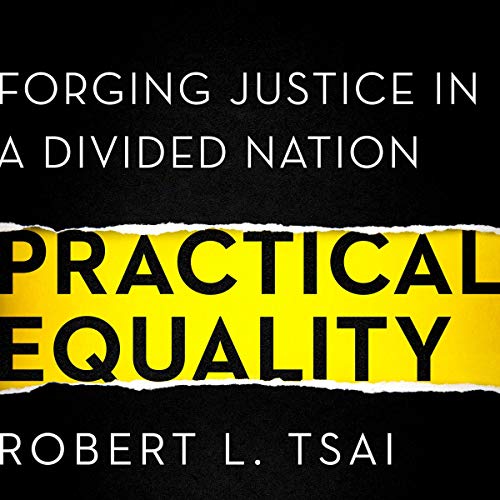 Cover of Practical Equality