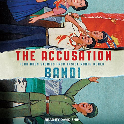 Cover of The Accusation