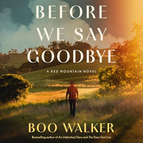 Cover of Before We Say Goodbye