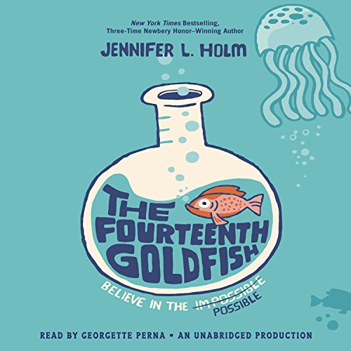 Cover of The Fourteenth Goldfish