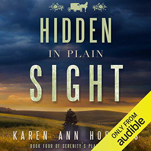 Cover of Hidden in Plain Sight