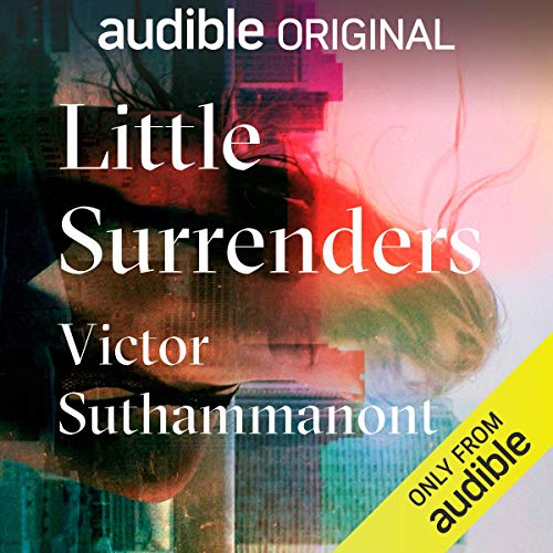 Cover of Little Surrenders