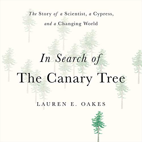 Cover of In Search of the Canary Tree