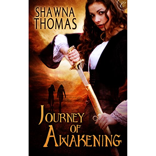 Cover of Journey of Awakening