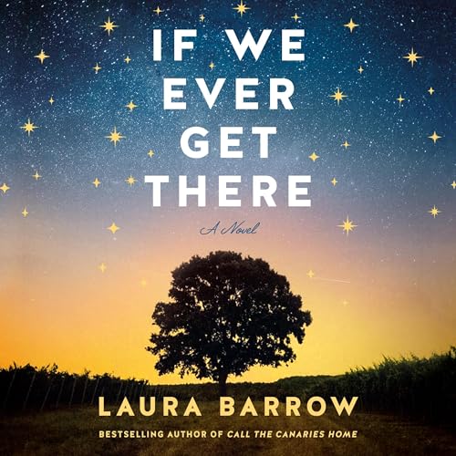 Cover of If We Ever Get There