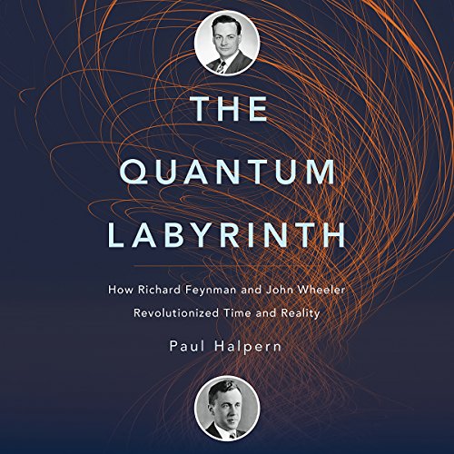 Cover of The Quantum Labyrinth