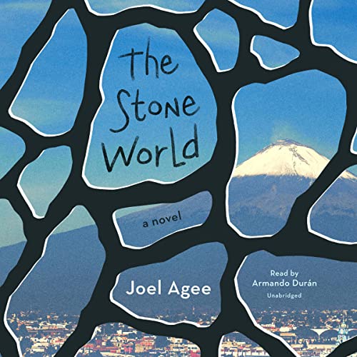 Cover of The Stone World