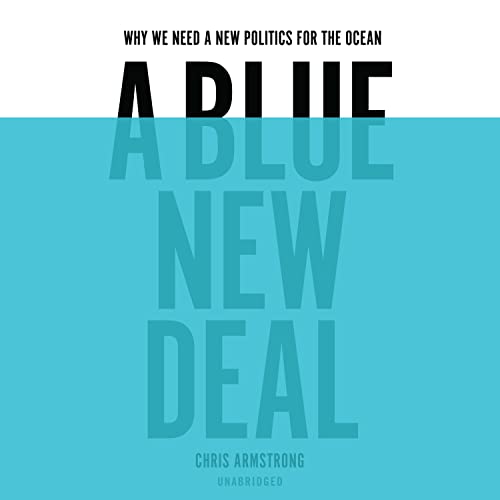 Cover of A Blue New Deal