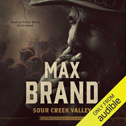 Cover of Sour Creek Valley